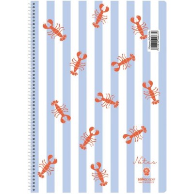 Τετράδιο σπιραλ Notes 21x29